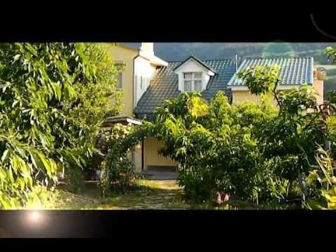 Гостевой дом в абрикосовом саду
